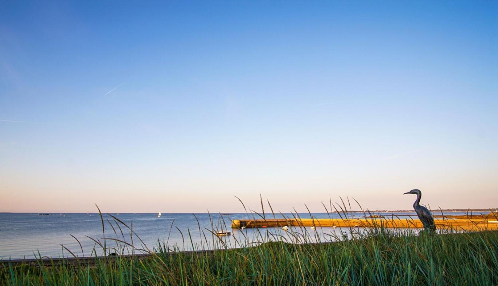 -Blush- Appartement Cosy - Proche Ville-Close Concarneau Eksteriør billede